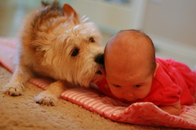 Lick Turn about is fair play.