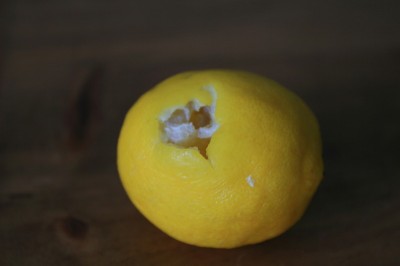 bitten lemon