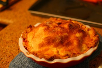 Apple cranberry pie